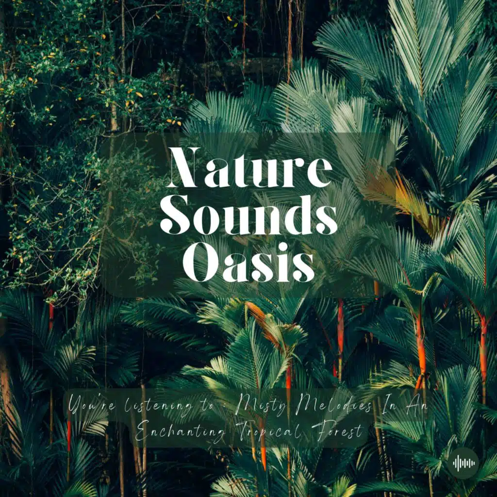 Tropical Rain Sounds In A Lush Jungle & Happy Birds Chirping | Nature Sounds For Sleep, Meditation, Relaxation Or Focus | Sleep Sounds, Birds Singing,...