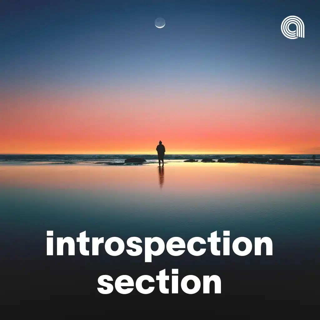 Introspection Section
