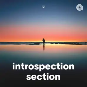 Introspection Section