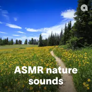 ASMR Nature Sounds