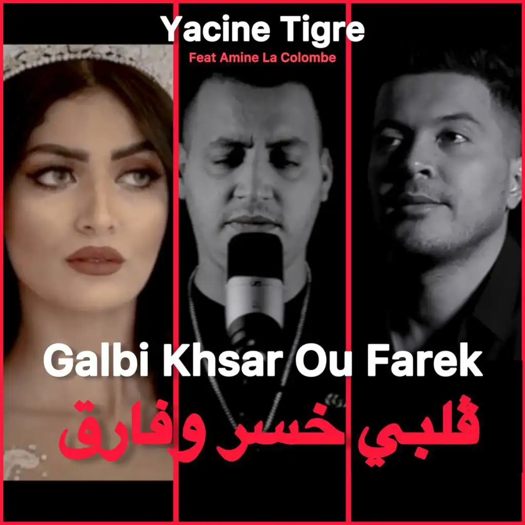 Galbi Khsar Ou Farek (feat. Amine La Colombe)