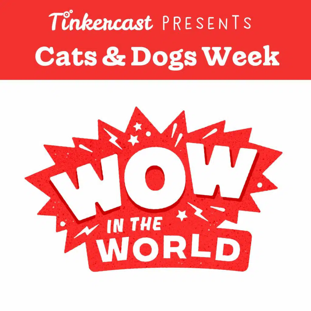 Wow in the World – How To Talk To A Cat