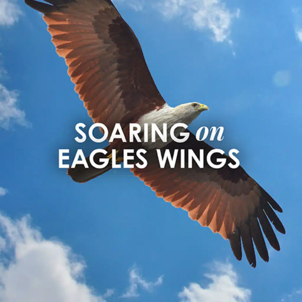 Soaring On Eagles Wings
