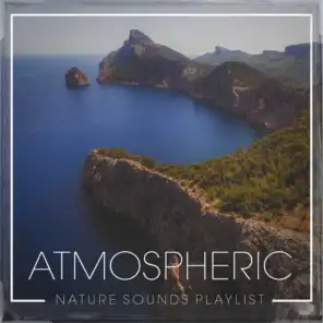 Atmospheric nature sounds playlist