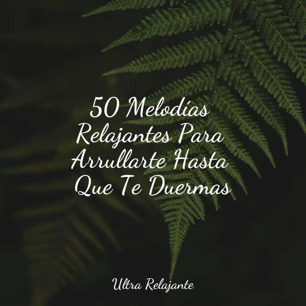 Dormir en Las Estrellas