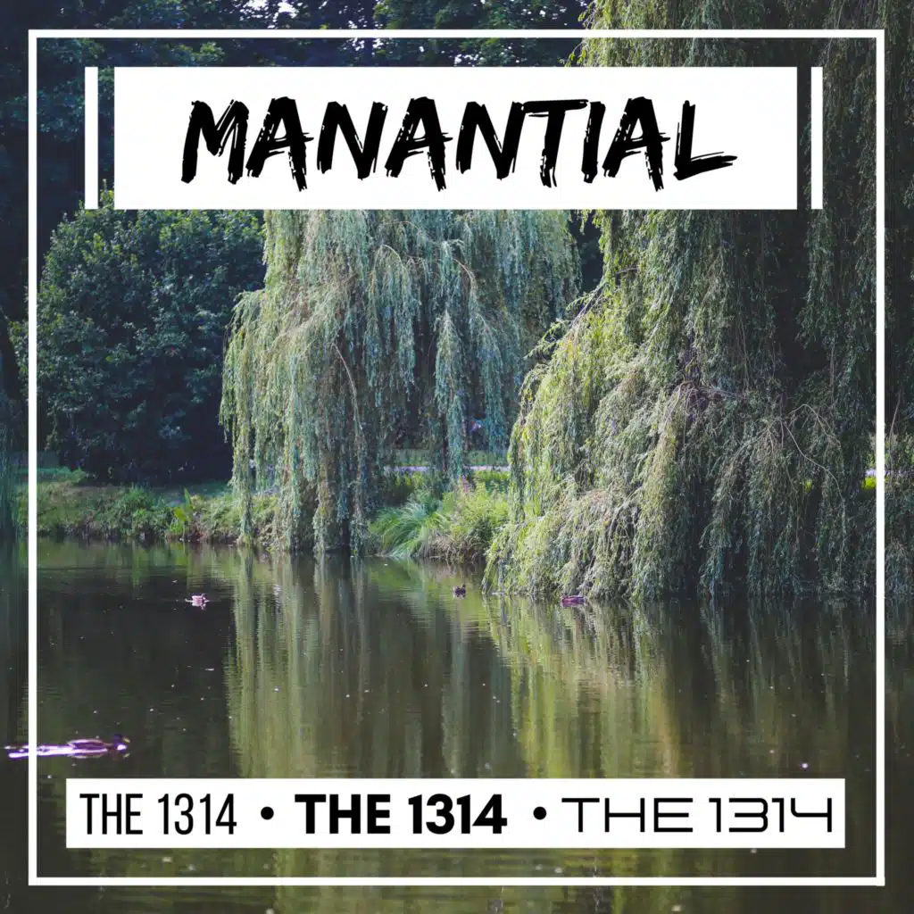 THE 1314