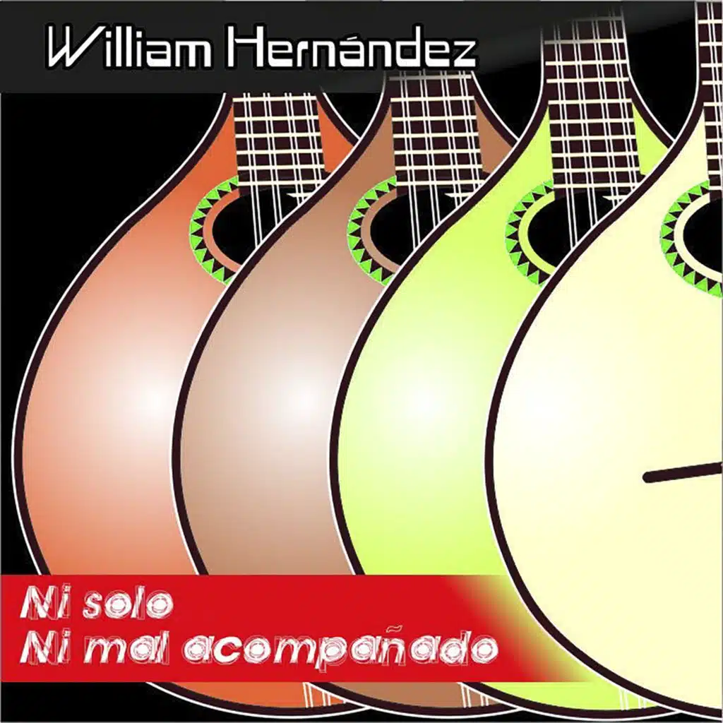 Ni Solo Ni Mal Acompañado
