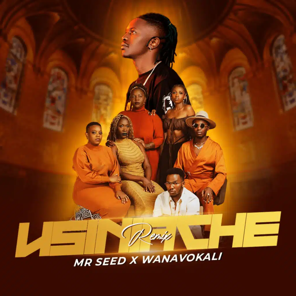 Usiniache (Remix) [feat. Wanavokali]