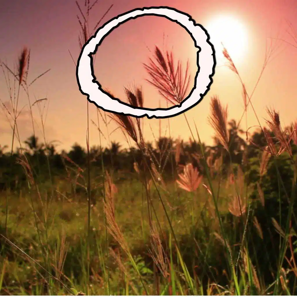 O - Tribute to Coldplay (Instrumental Version)