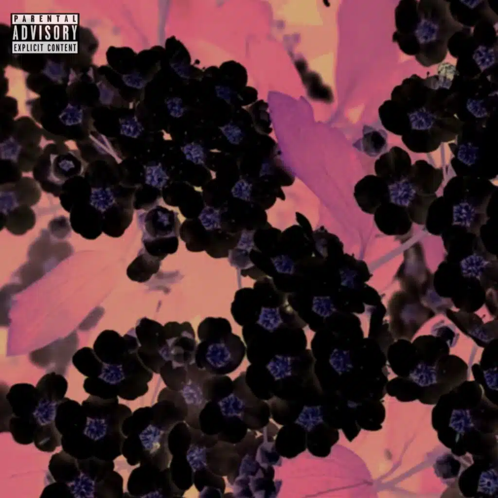 big daddy clarke (Live)