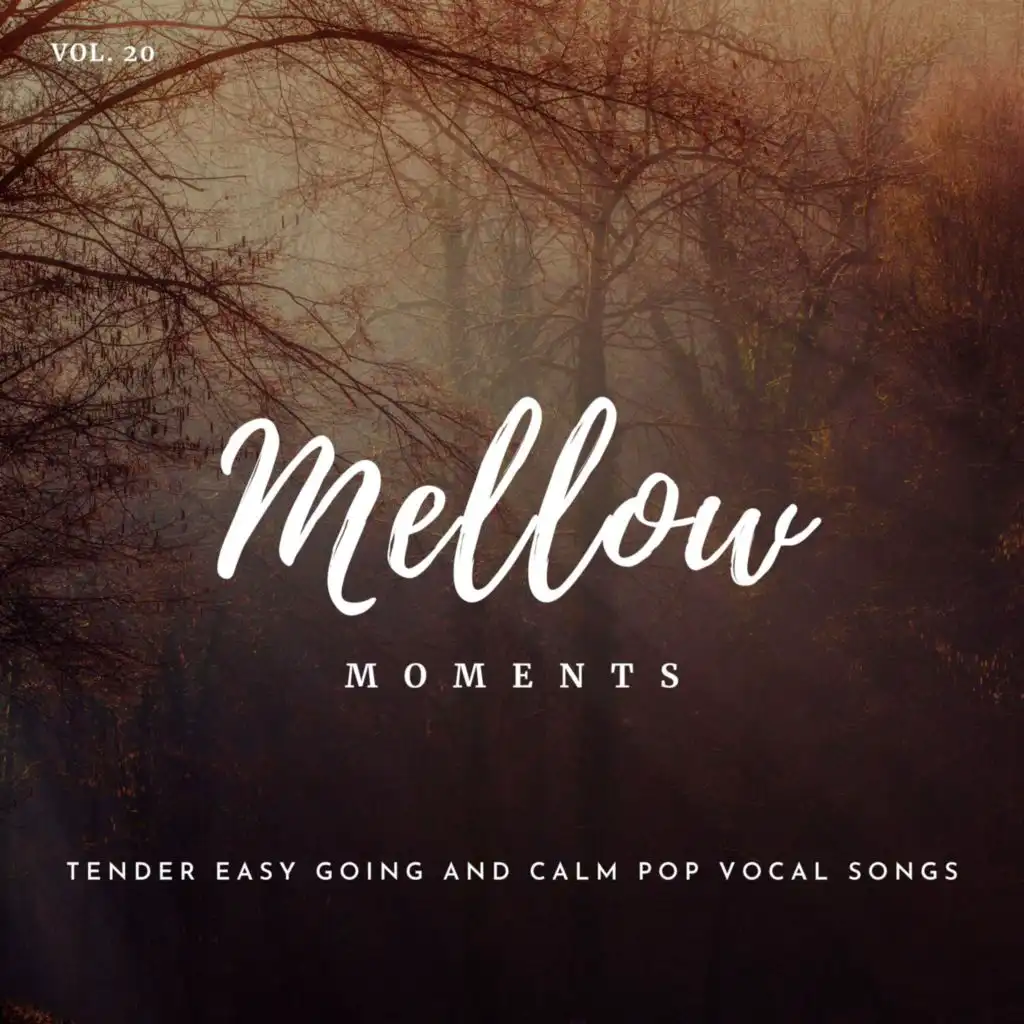 Mellow Moments - Tender Easy Going and Calm Pop Vocal Songs, Vol. 20