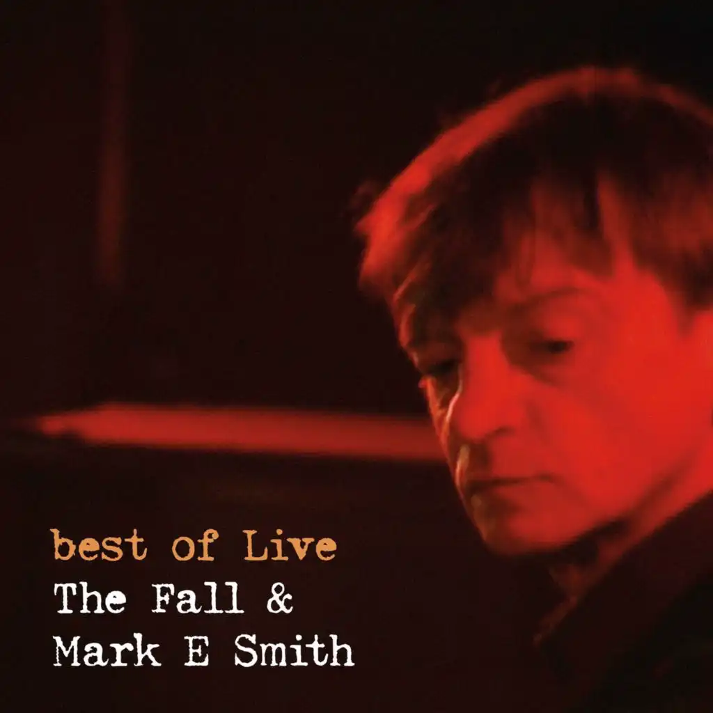 There's A Ghost in My House (Live) [feat. Mark E Smith]