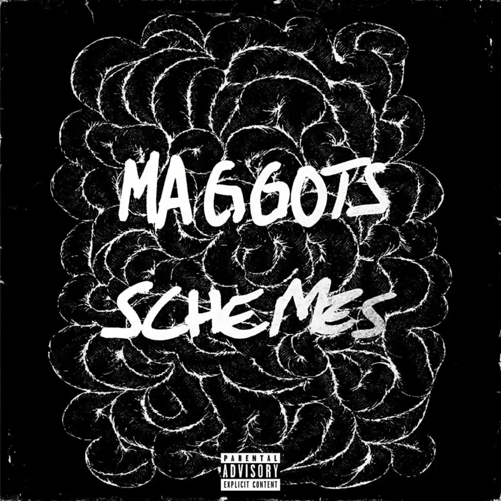 Maggots