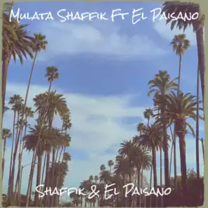 Mulata (feat. El Paisano)