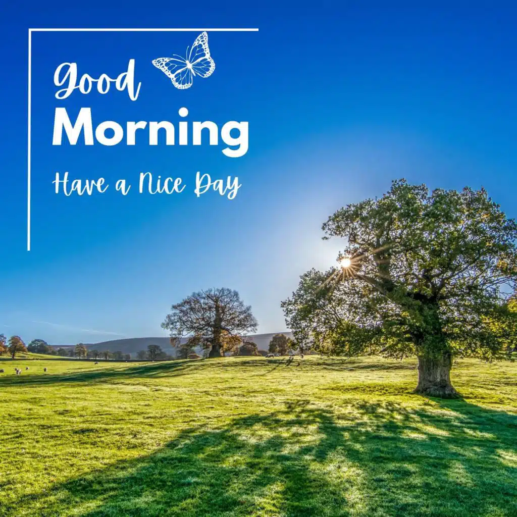 Me and You and a Dog Named Boo