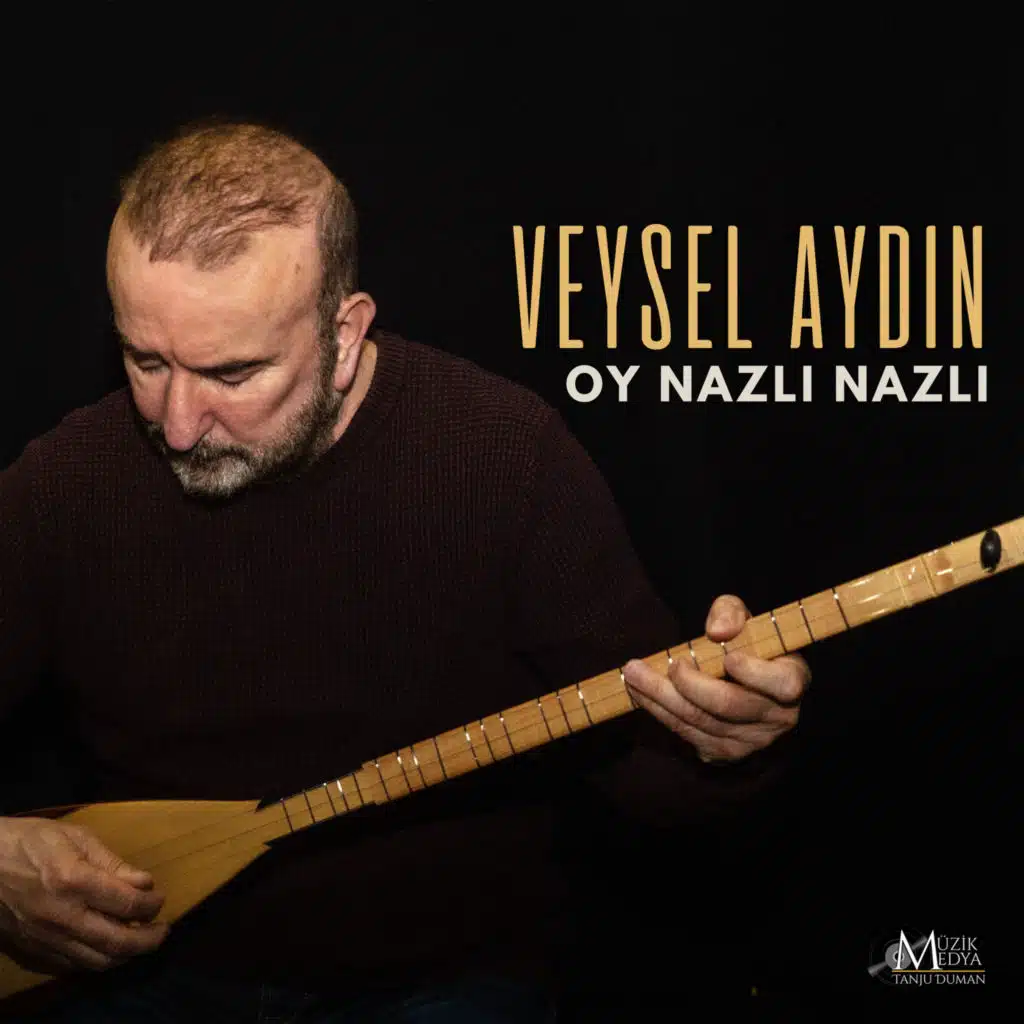 Veysel Aydın