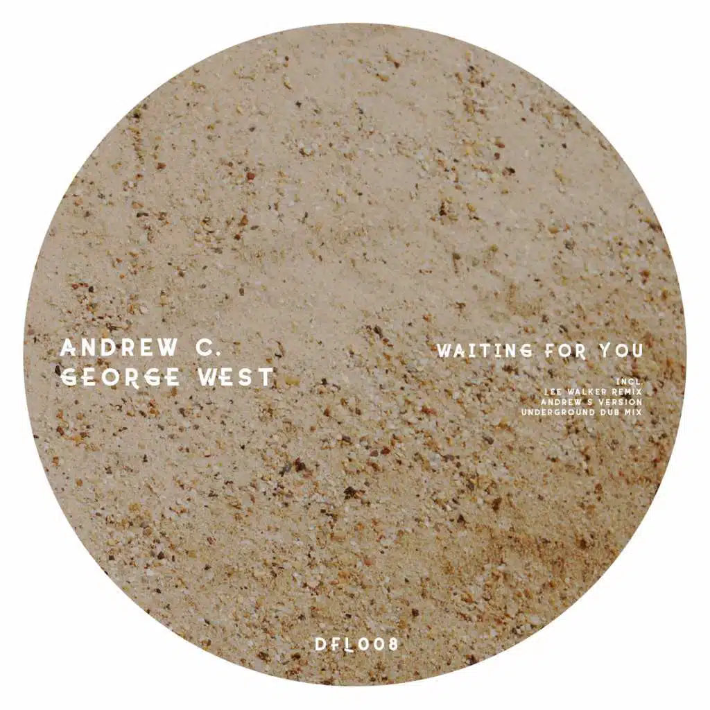 Waiting for You (Andrew's Version) [feat. Andrew C.]