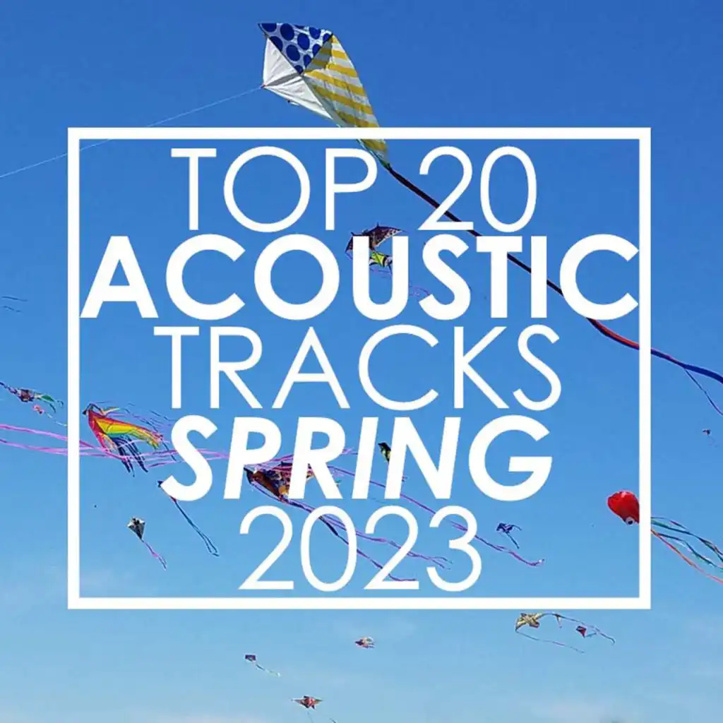 Top 20 Acoustic Tracks Spring 2023 (Instrumental)