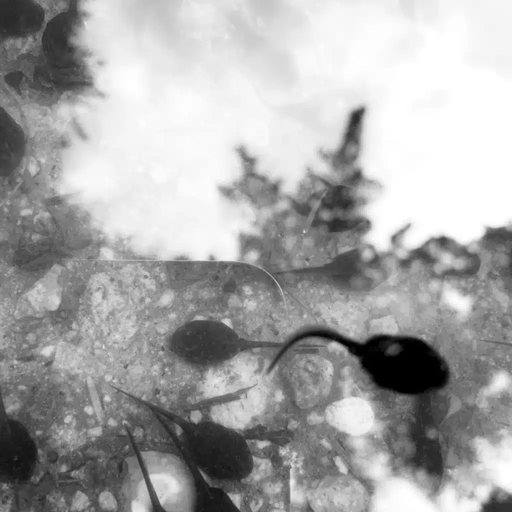 Untitled 2