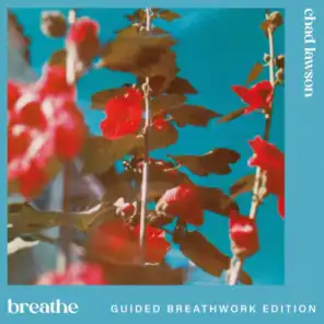 breathe (guided breathwork edition)