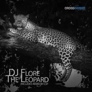 DJ Flore
