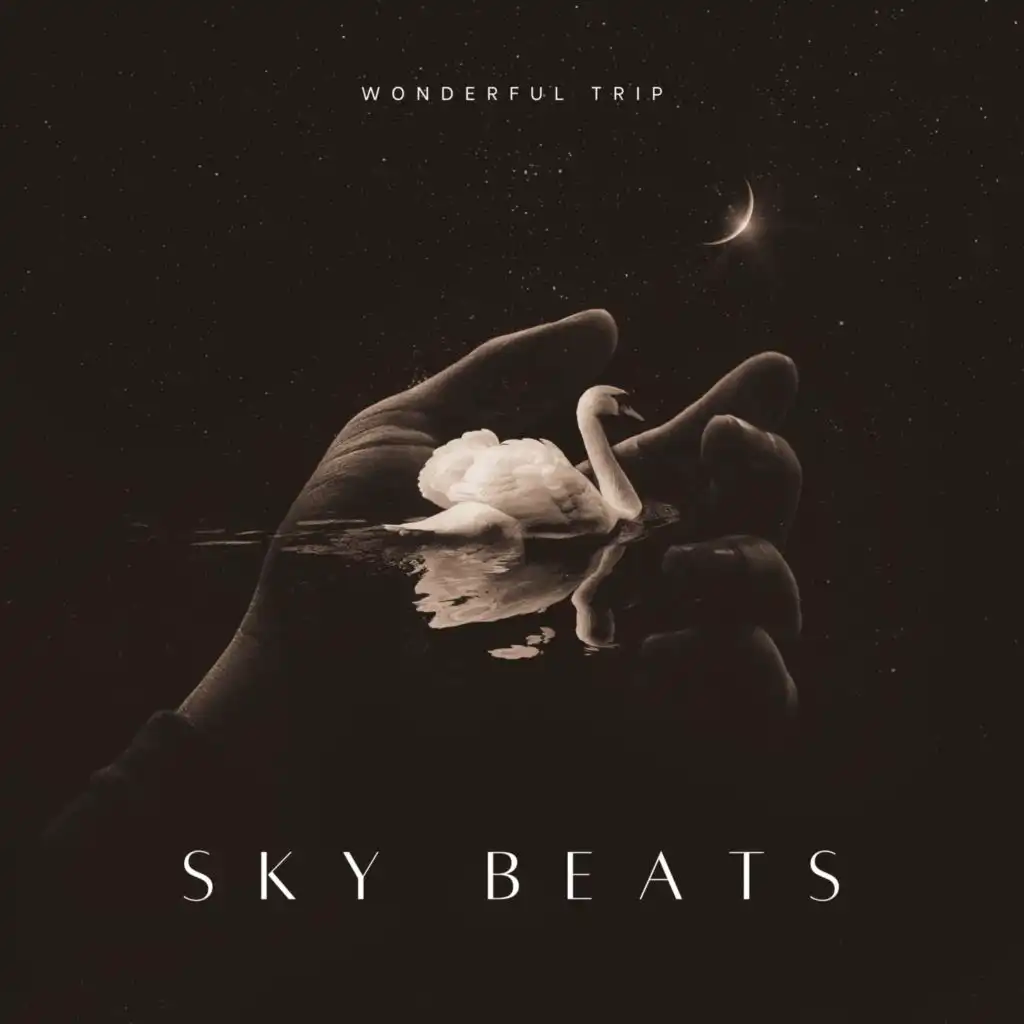 Sky Beats