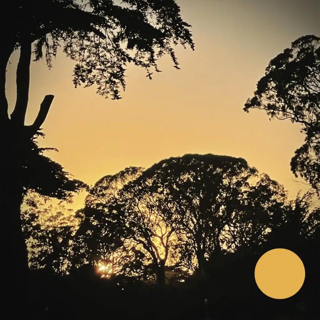 Folsom Lake: Pontoon Plane