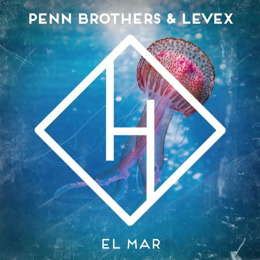 Penn Brothers & Levex