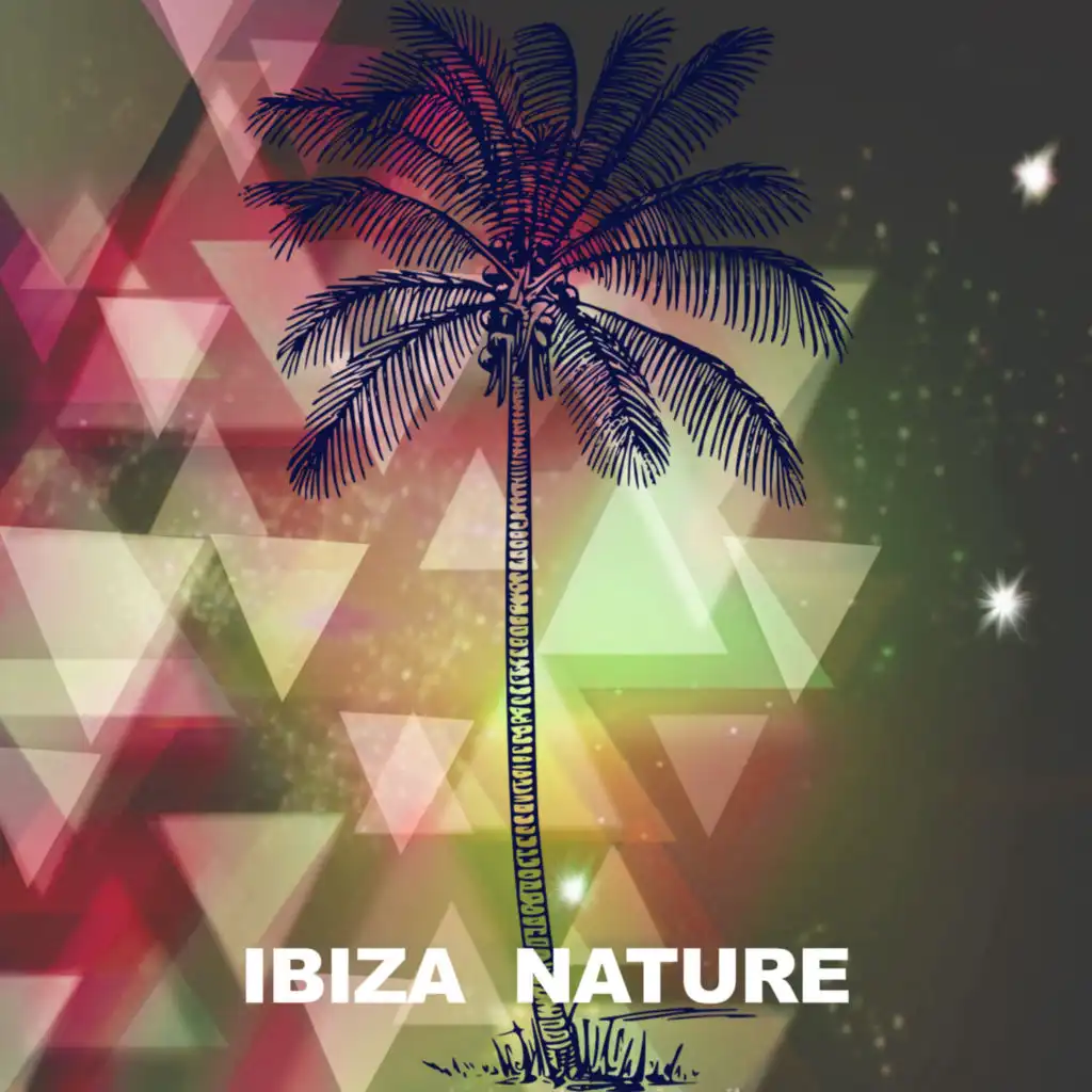 Ibiza House (Dub Mix)