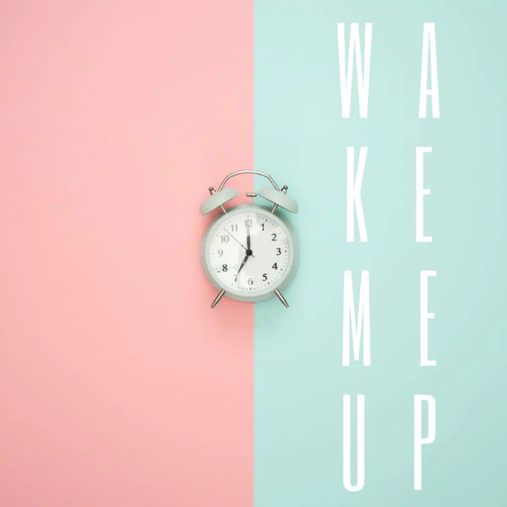 Wake Me Up