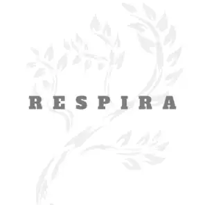 Respira (feat. Diana Pereira, Tiago Mdok, Elemece, Vocal mc, Dahyana Rios & Mazio)