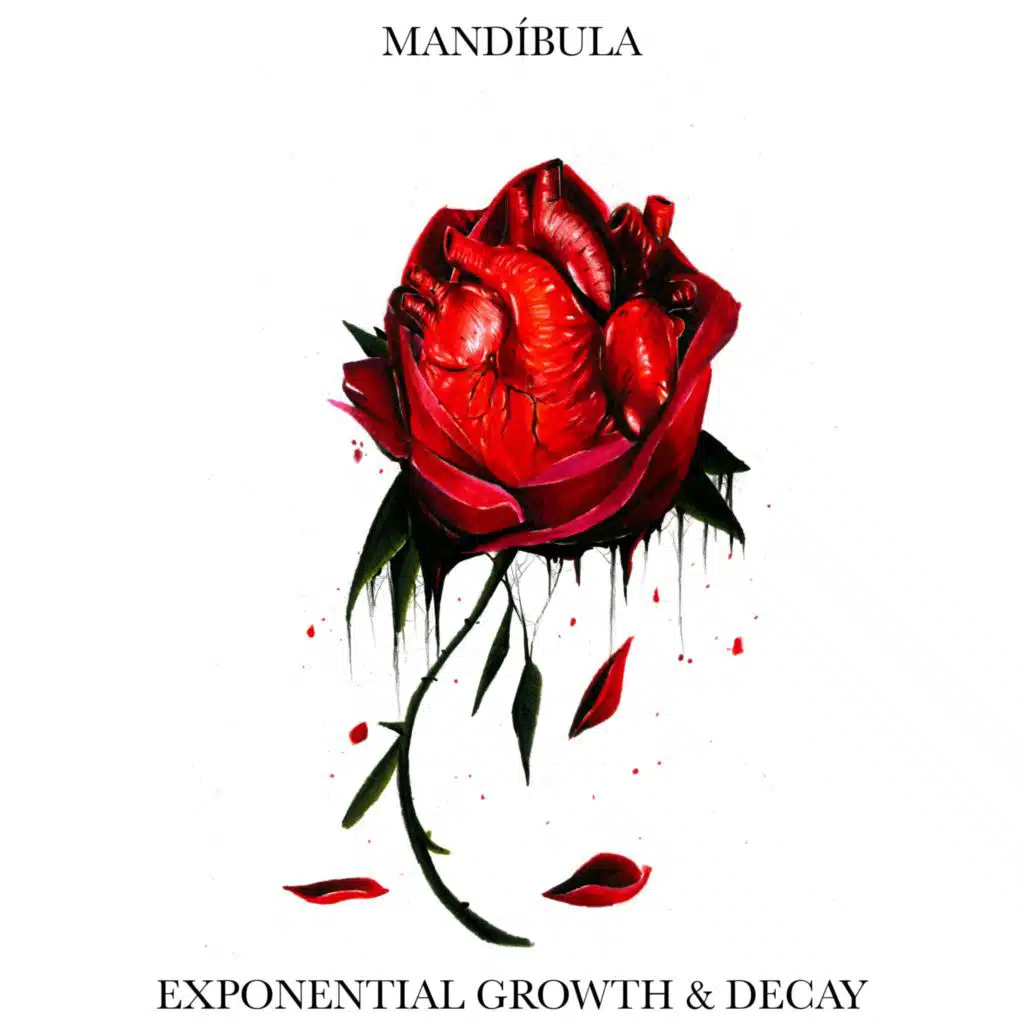 Exponential Growth & Decay