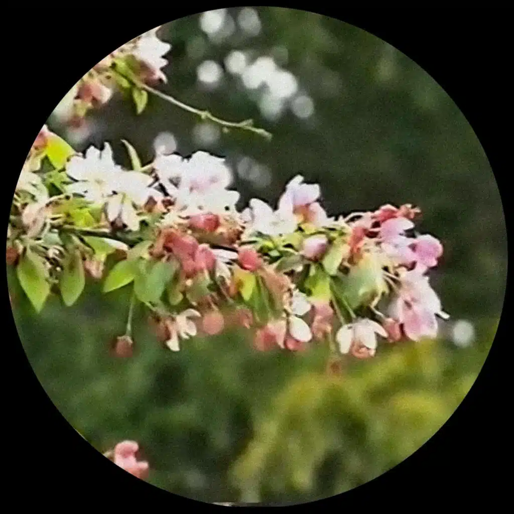 514