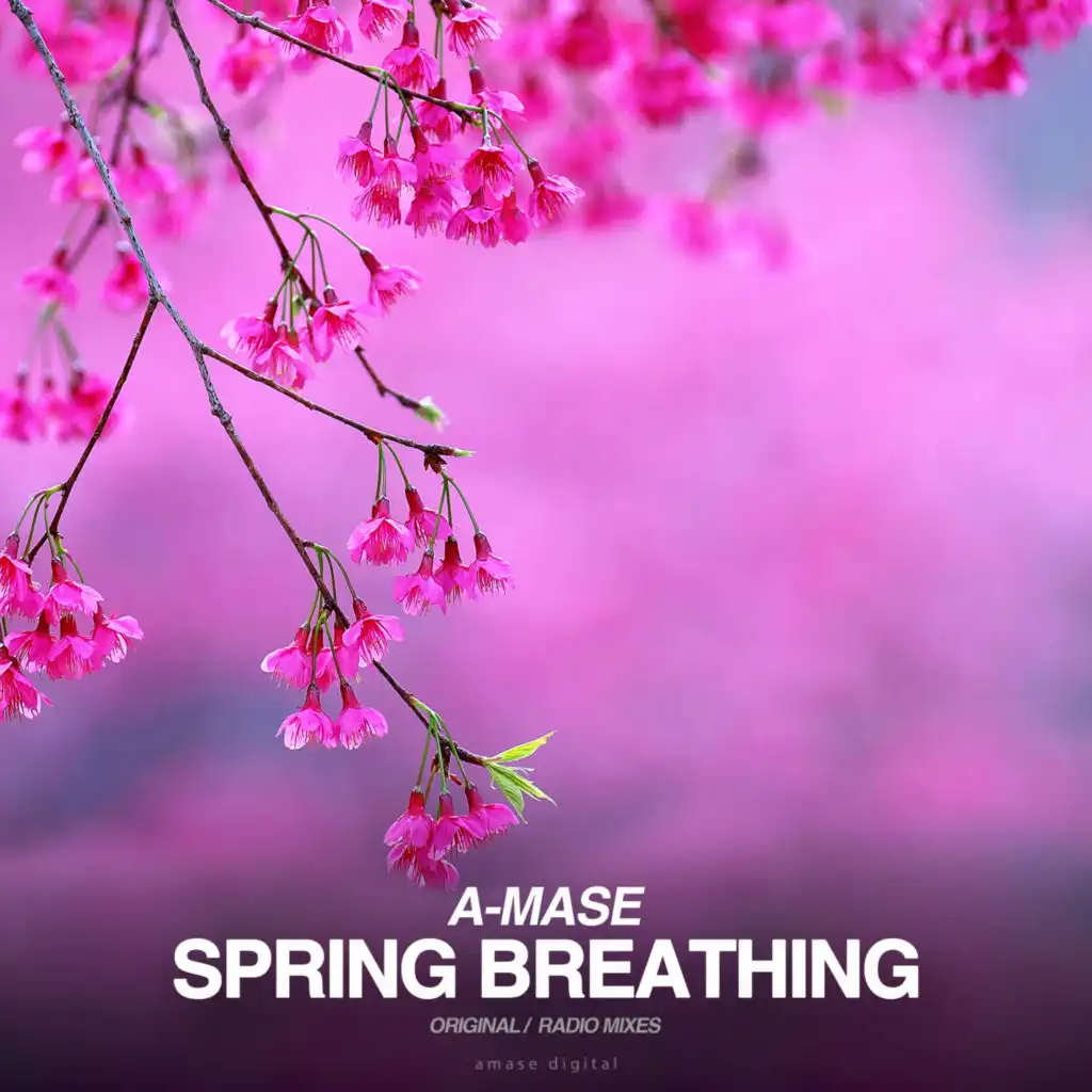 Spring Breathing (Radio Mix)
