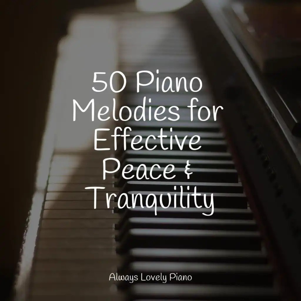 50 Ambient Piano Melodies for Studying