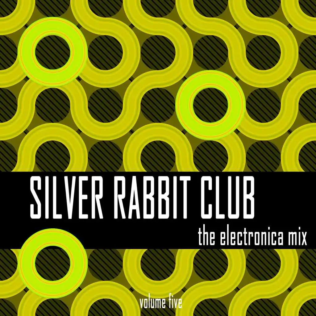 Silver Rabbit Club: The Electronica Mix, Vol. 5