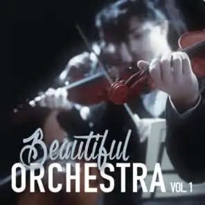 Beautiful Orchestra, Vol. 1