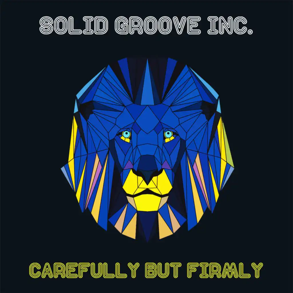 Solid Groove Inc.