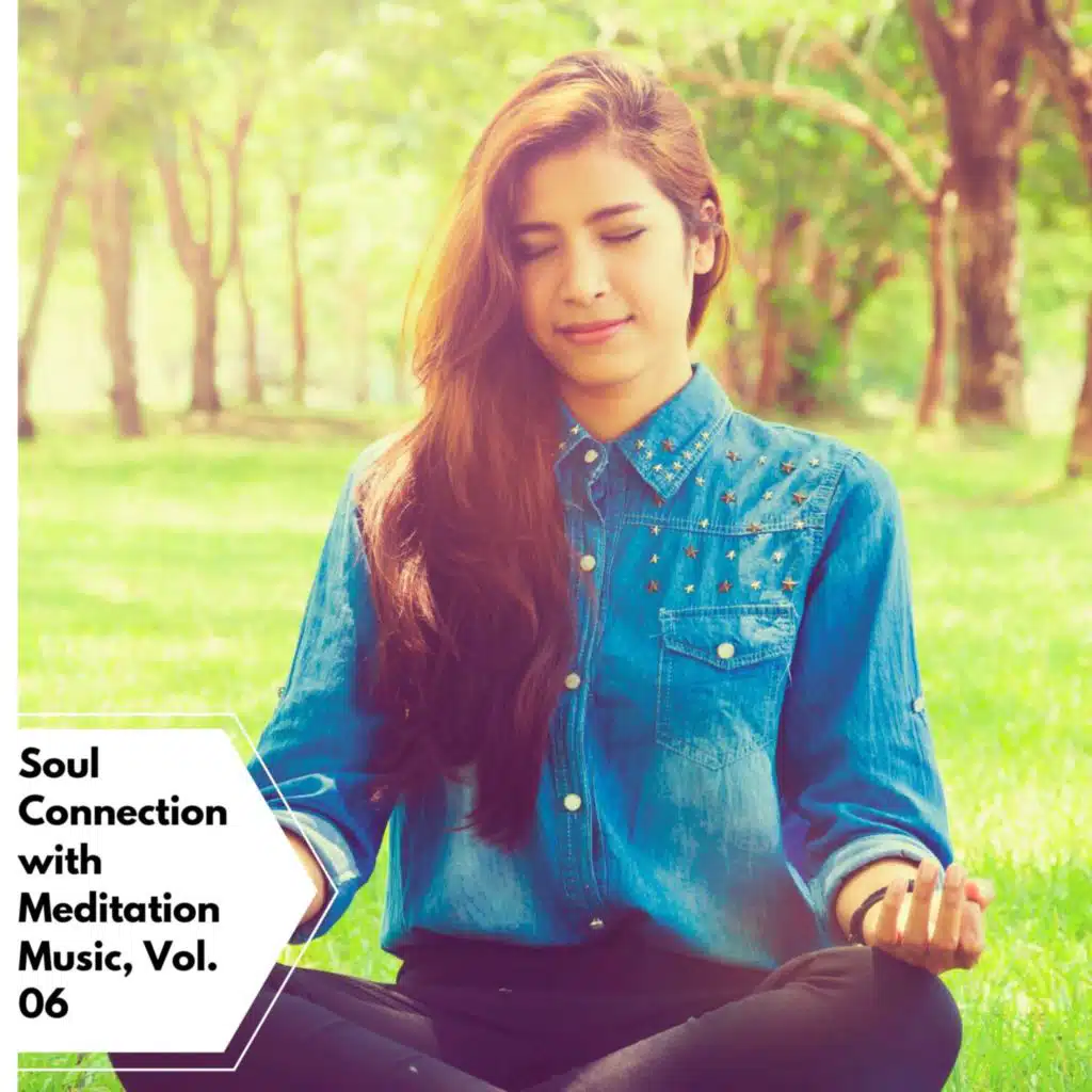 Soul Connection with Meditation Music, Vol. 06