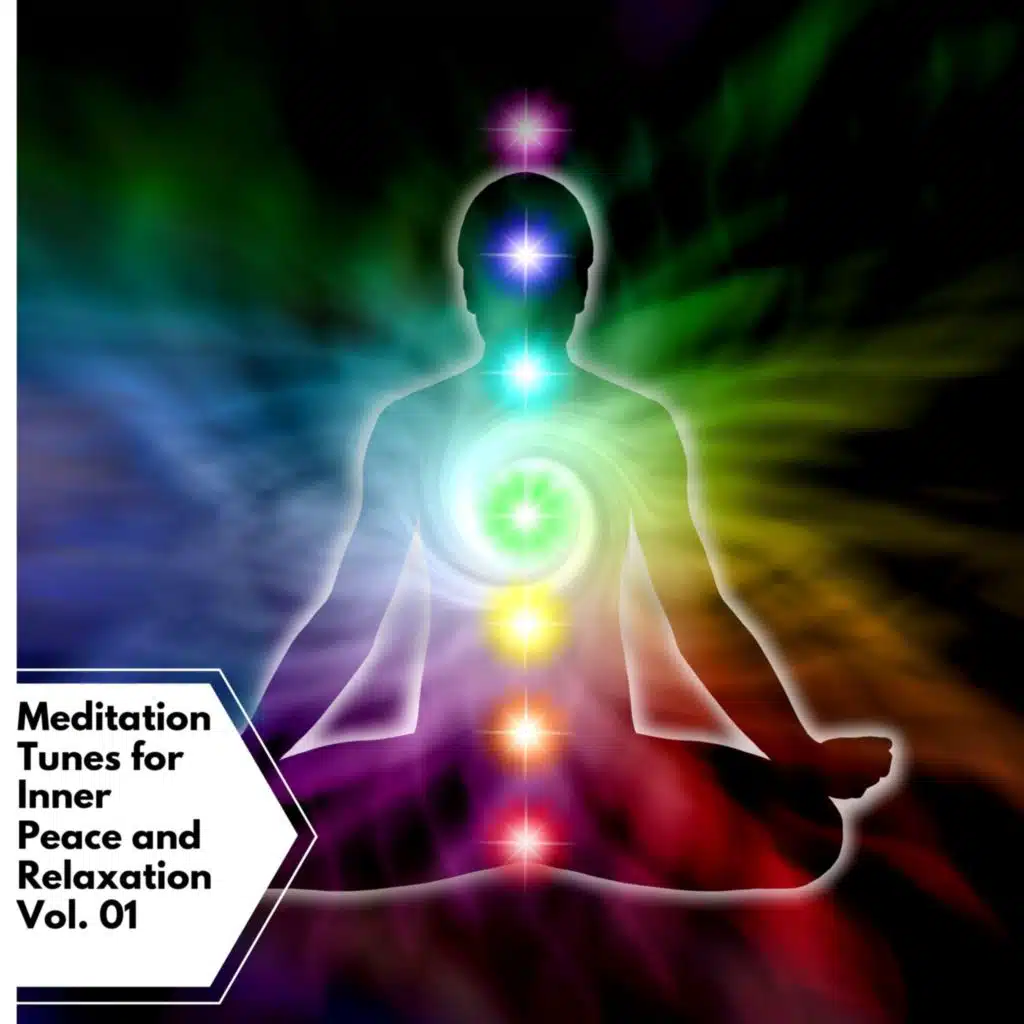 Meditation Tunes for Inner Peace and Relaxation Vol. 01