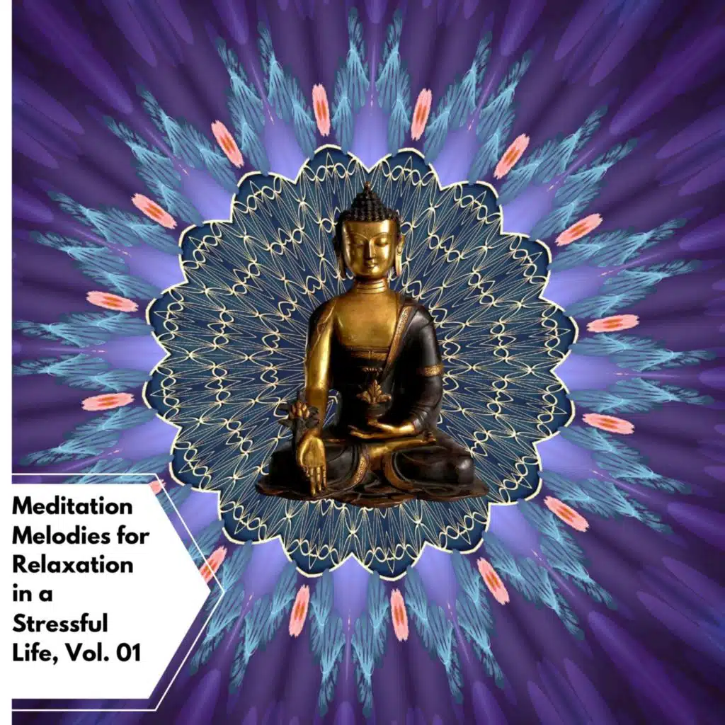 Meditation Melodies for Relaxation in a Stressful Life, Vol. 01