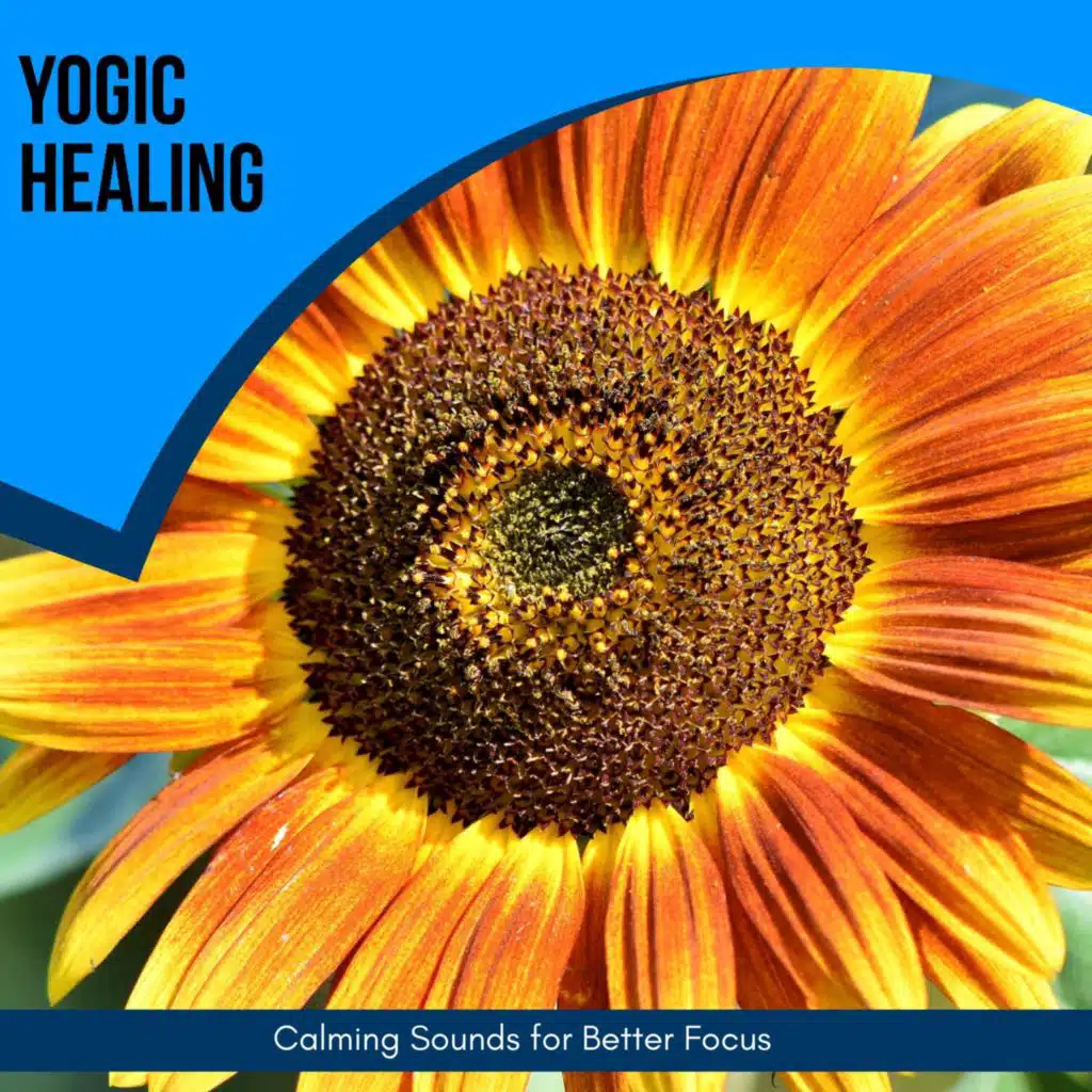 Yogic Healing - Calming Sounds for Better Focus