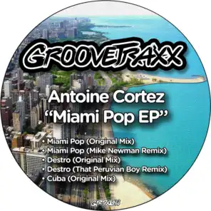 Miami Pop (Mike Newman Remix)