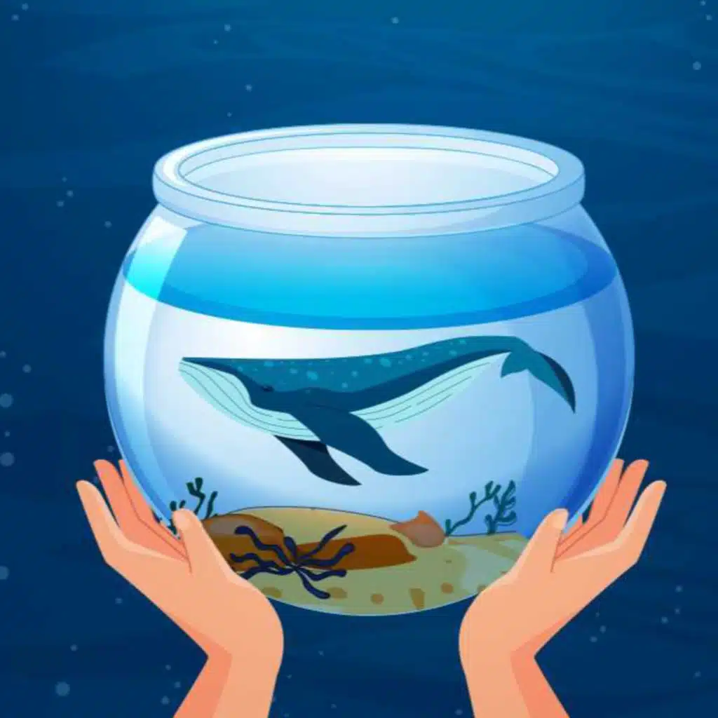 Whales! A climate solution no one is talking about