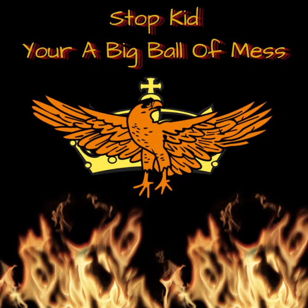 Stop Kid Your A Big Ball Of Mess