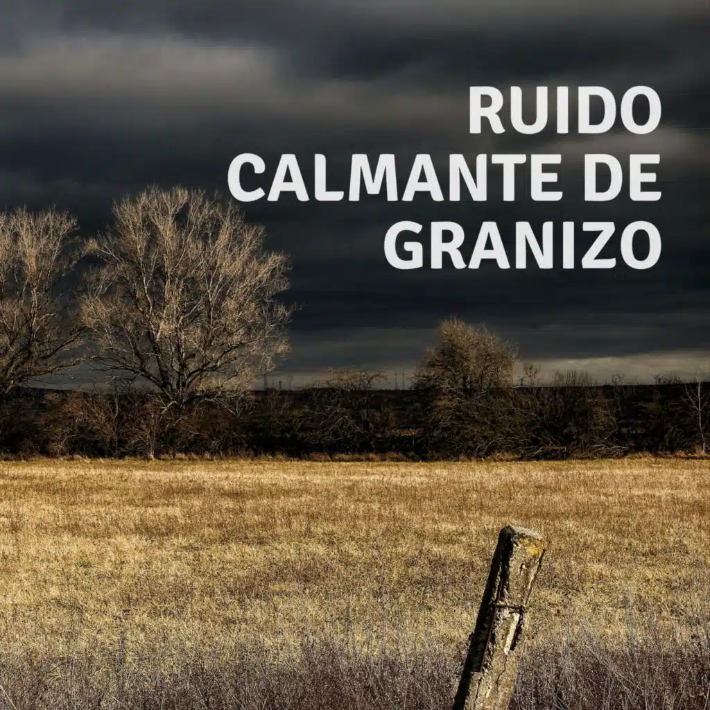 Sonidos De Lluvia & Sonidos De Lluvia y Tormentas