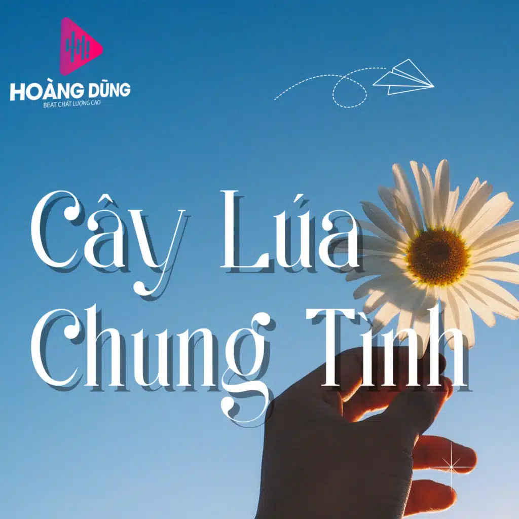 Chim Trắng Mồ Côi