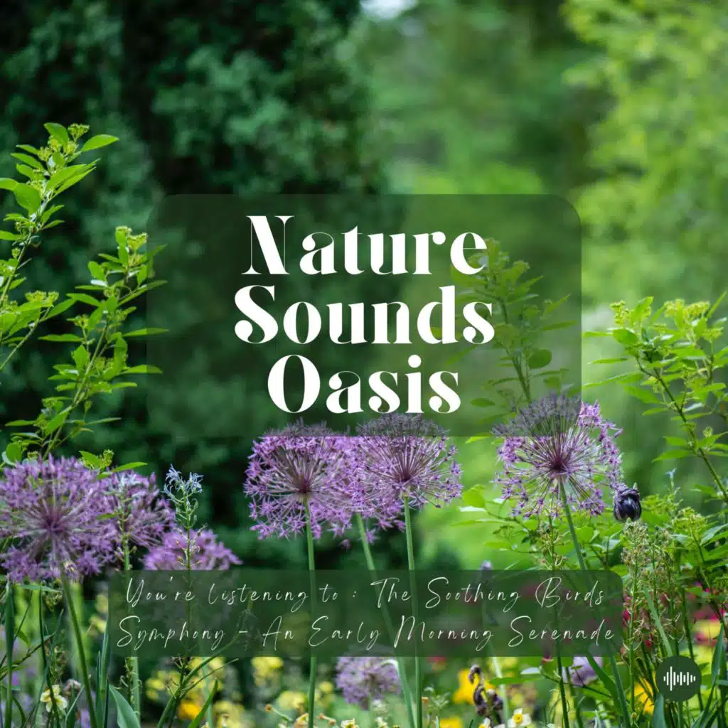 Peaceful Morning Birds Singing & Chirping In A Vibrant Garden | Nature Sounds For Sleep, Meditation, Relaxation Or Focus | Sleep Sounds, Morning Medit...