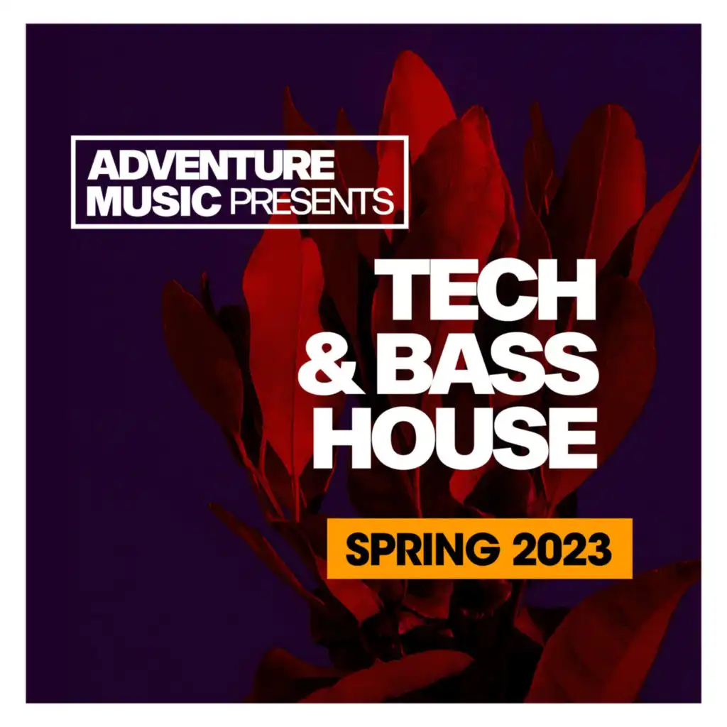 Tech & Bass House (Spring 2023)