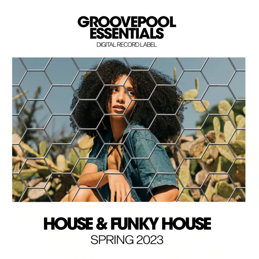 Love Or Let Me Go (House Mix)